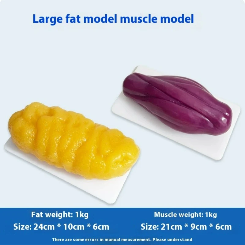 نماذج مقلدة للعضلات والدهون ال - مراجعة Nutrition Of Fitness وسعره